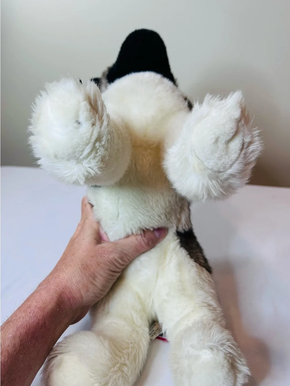Douglas soft plush